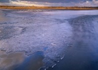 ZWISCHEN DEN JAHRESZEITEN