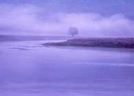 MYSTISCHE STIMMUNGEN