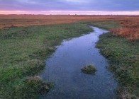 KOSTBARE LEBENSADERN